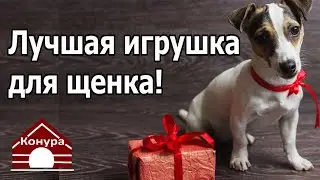 256. Лучшая игрушка для щенка своими руками. Чем играть со щенком?