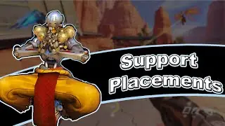 Support Placements Support Placements Support Placements