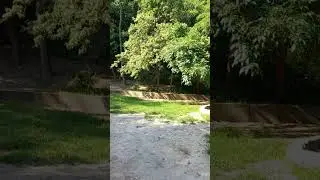 Містичний Київ. Павлівський садок.