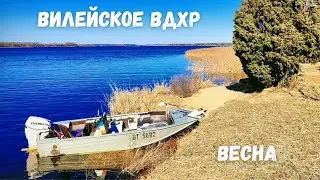 Вилейка! Рыбалка перед запретом! Судак!
