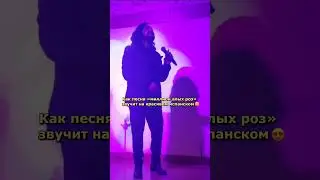 Как песня «миллион алых роз» заучит на красивом испанском! #перевод #переводчик #translation