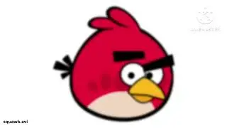squawk.avi