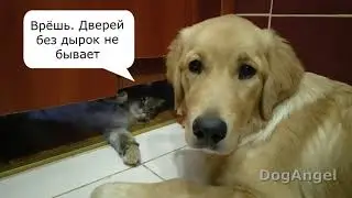 2021 07 18 Маня Ляля общаются через дверь