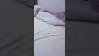 Сын курит