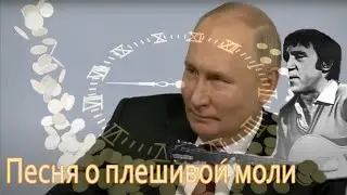 Песня о плешивой моли