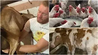 Ферма Павла Немоляева Вацап 89873128228 заказать тушёнку, сыр, сгущёнку, пастилу. Пишите сообщение)