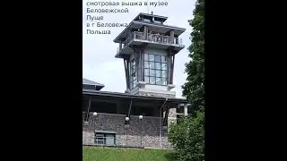 БЕЛОВЕЖСКАЯ ПУЩА      BELOVEZHSKAYA PUSHCHA