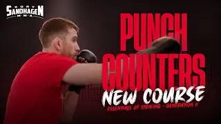 Effective Punch Counters to Drill TODAY