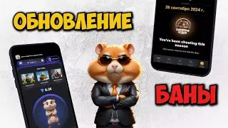 🐹 КОНЕЦ HAMSTER KOMBAT ?! Что будет дальше? Баны аккаунтов в Хамстер Комбат