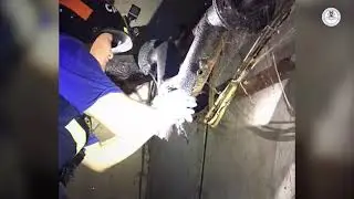 🔥Будни добровольцев🔥