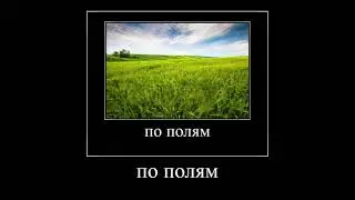 по полям по полям