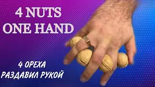 Crushed 4 walnuts by hand. 4 NUTS CRUSHED BY HAND