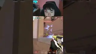 PERFECT RAZE GAMEPLAY 