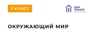 3 класс. Окружающий мир. Аюбова А.А. Тема: 