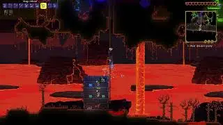 Truly the pain of terraria