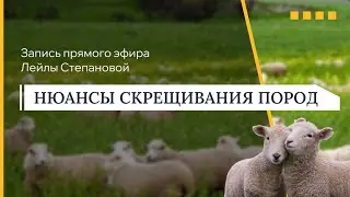 СКРЕЩИВАНИЕ ПОРОД: основные опасения и ошибки