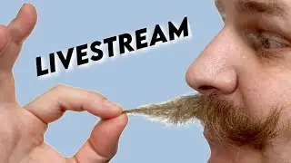Wax & Chill Stream