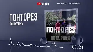 ПОШУРИКУ - Понторез