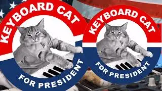 Keyboard Cat For President 2024 Election Ads!
