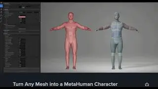 UE 5.8 Preview - Any Human Mesh to Metahuman (Auto Solve)
