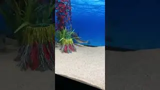 #freshwater