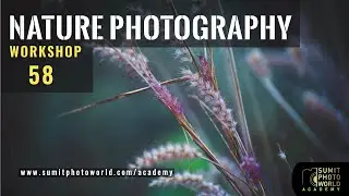 Nature Photography Workshop 58 | SPW Expedition