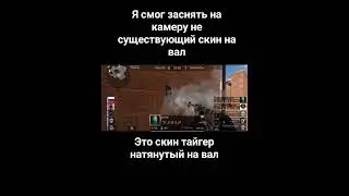Это не существующий скин на ас вал
