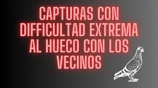 Captura al hueco en el infierno con los vecinos activos, así palomea mi viejo