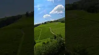 📍Barolo 🍇🇮🇹 #agriculture #castle #drone #farming #love #nature #travel #tractor #vertical