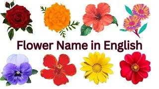 Flower Name in Hindi and English  फूल का नाम  #picturesflowername #flower #fruitsname #english