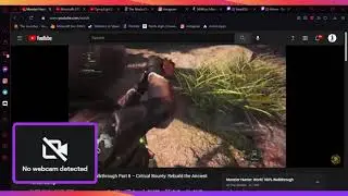 first stream and first viewer