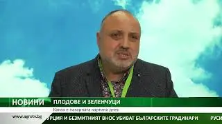 Вносът от Турция и безмитният внос убиват българските градинари