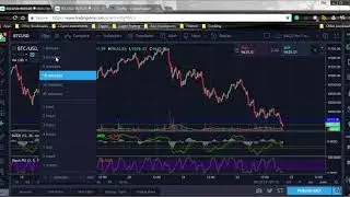 Cryptohopper USD / BTC Trading Bot
