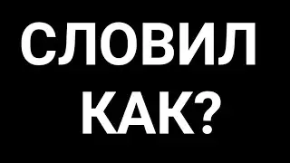 Чаво за 18 голд?..... | STANDOFF 2