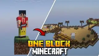 LET'S START OUR NEW JOURNEY IN ONEBLOCK MINECRAFT #1