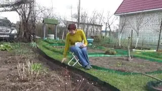 Сеем в грунт однолетние цветы