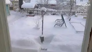 Наши милые соседи...