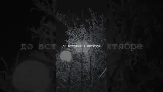 "Чердачок". Альбом "Черная полоса". #клявин #длядуши #атмосфера #владимирклявин #рок #русскийрок