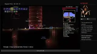 Playing terraria just chilling