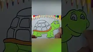 Color in Turtle - Visit channel for full tutorial