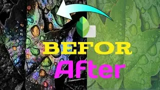 How to make glitar Multicolor water drop leaf photo editing tutorial in snapseed