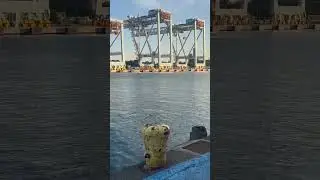 FORD FUSION SPORT CRACKLE TUNE 🔥 