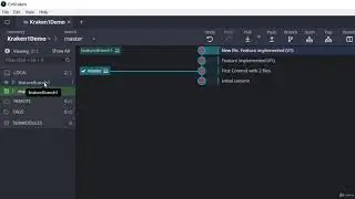 Git Kraken - Create Branches | IT In Ameerpet