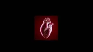 Breathplay Heartbeat