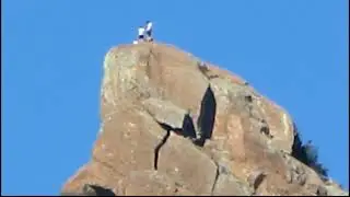 Zooming in on hikers atop bishop peak in SLO