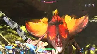 ECHO STALKER TOOTH, LIGHT HIDE | EXQUISITE CRAFTING MATERIALS | AVATAR: FRONTIERS OF PANDORA [4K]