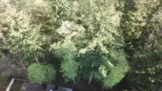 FLIGHT 2