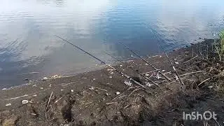 Общество Коржиха