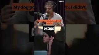 Secret behind human desire #shorts #inspiration #motivation #naval