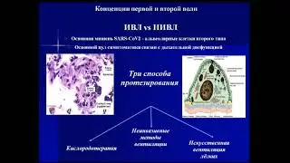 Экзогенный сурфактант при ковид 19 Клыпа Т.В.